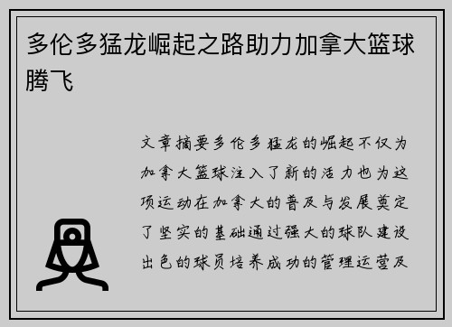 多伦多猛龙崛起之路助力加拿大篮球腾飞
