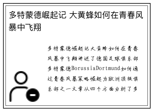 多特蒙德崛起记 大黄蜂如何在青春风暴中飞翔